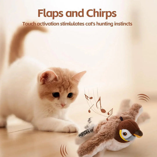 Bird Toy Cat