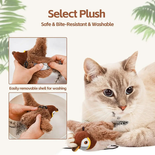 Bird Toy Cat
