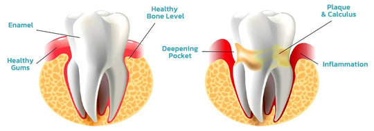 Pet Oral Repair Gel