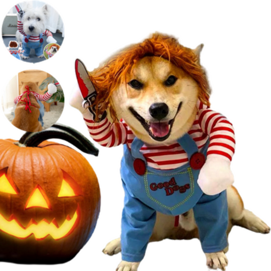 Pet Disguise