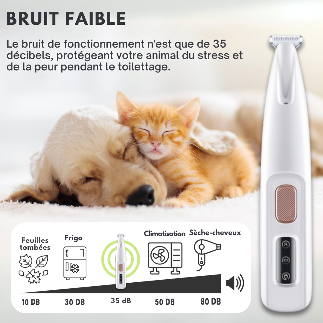 Tondeuse pour animaux