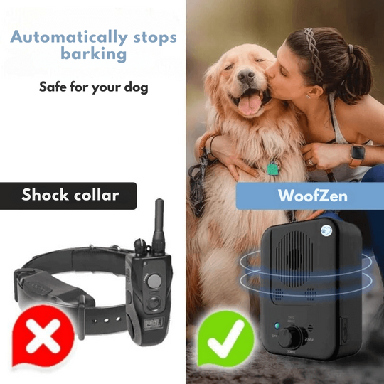 Anti-Barking Device