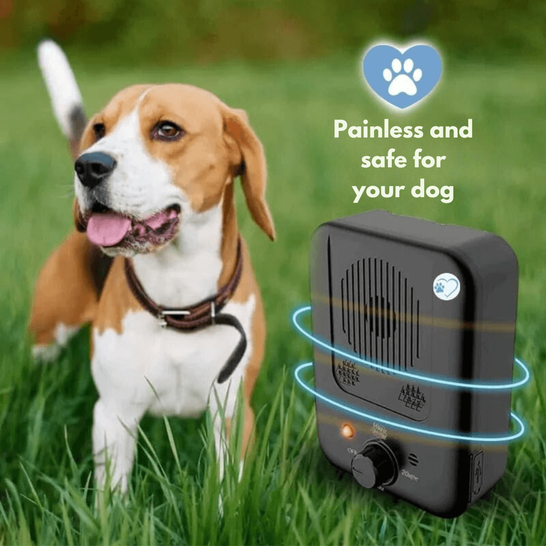 Anti-Barking Device