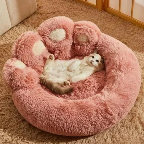 Pet Cushion