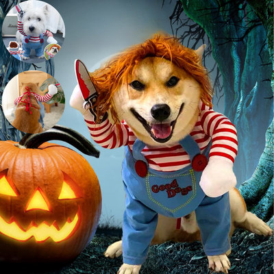 Pet Disguise