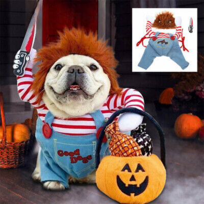 Pet Disguise