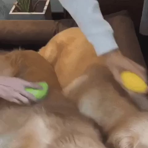 Dog Brush