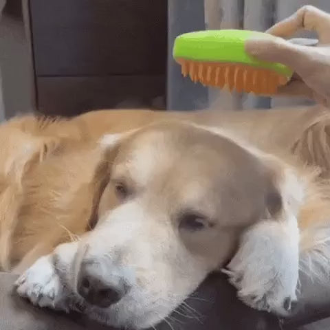 Dog Brush