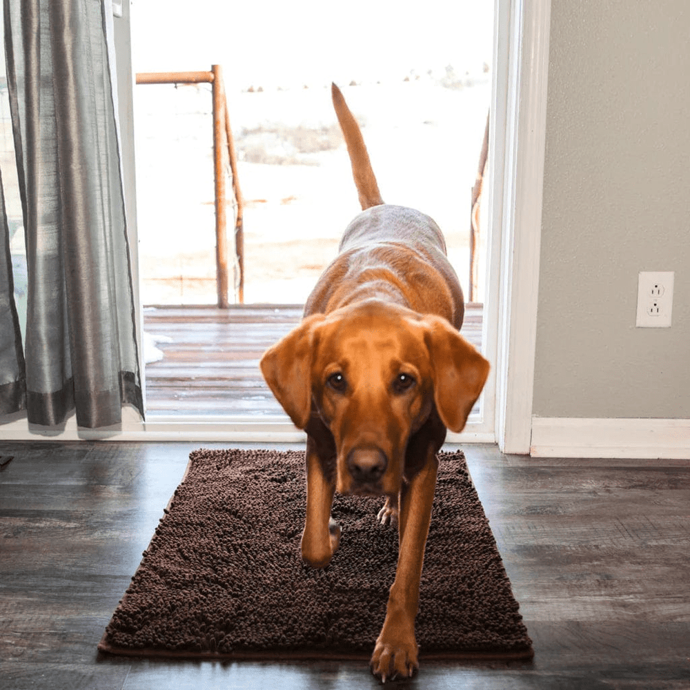 Absorbent Dog Mat